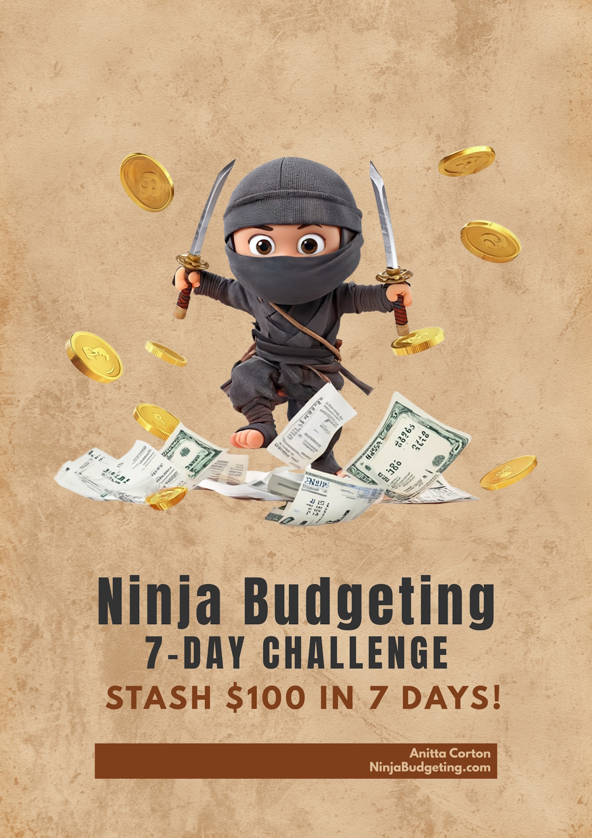 Ninja Budgeting 7 Day Challenge
